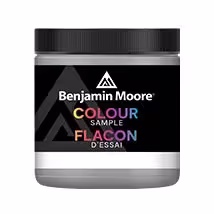 Paint Couleur échantillons - 236 mL