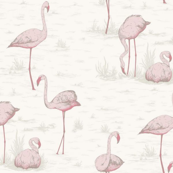 Flamingos, Contemporay – Cole & Son