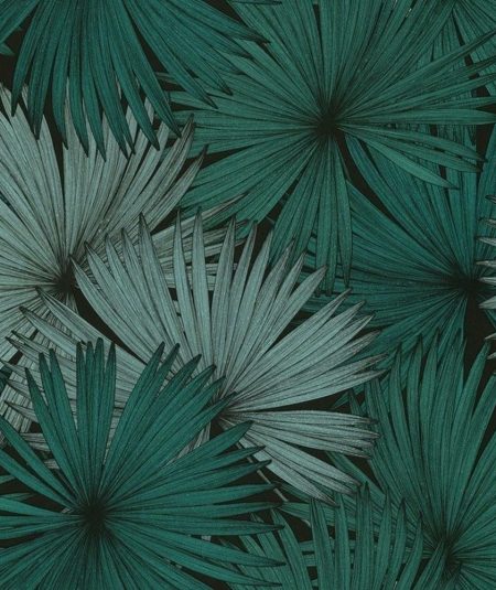 Jungle - Papier Peint