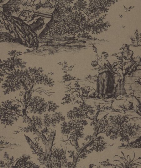 Toile Paon - Papier Peint