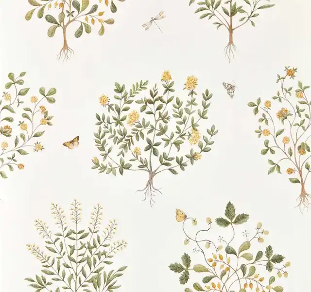 Papier peint Thyme Walk Sanderson Lichen Gooseberry, tons vert lichen et groseille.