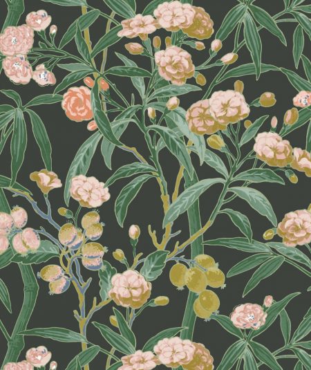 Casadeco Habana Vert Fonce wallpaper featuring tropical floral vines and lush green foliage on a dark background.